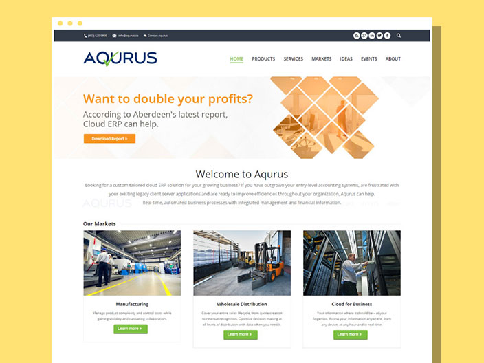 Aqurus Solultions Website
