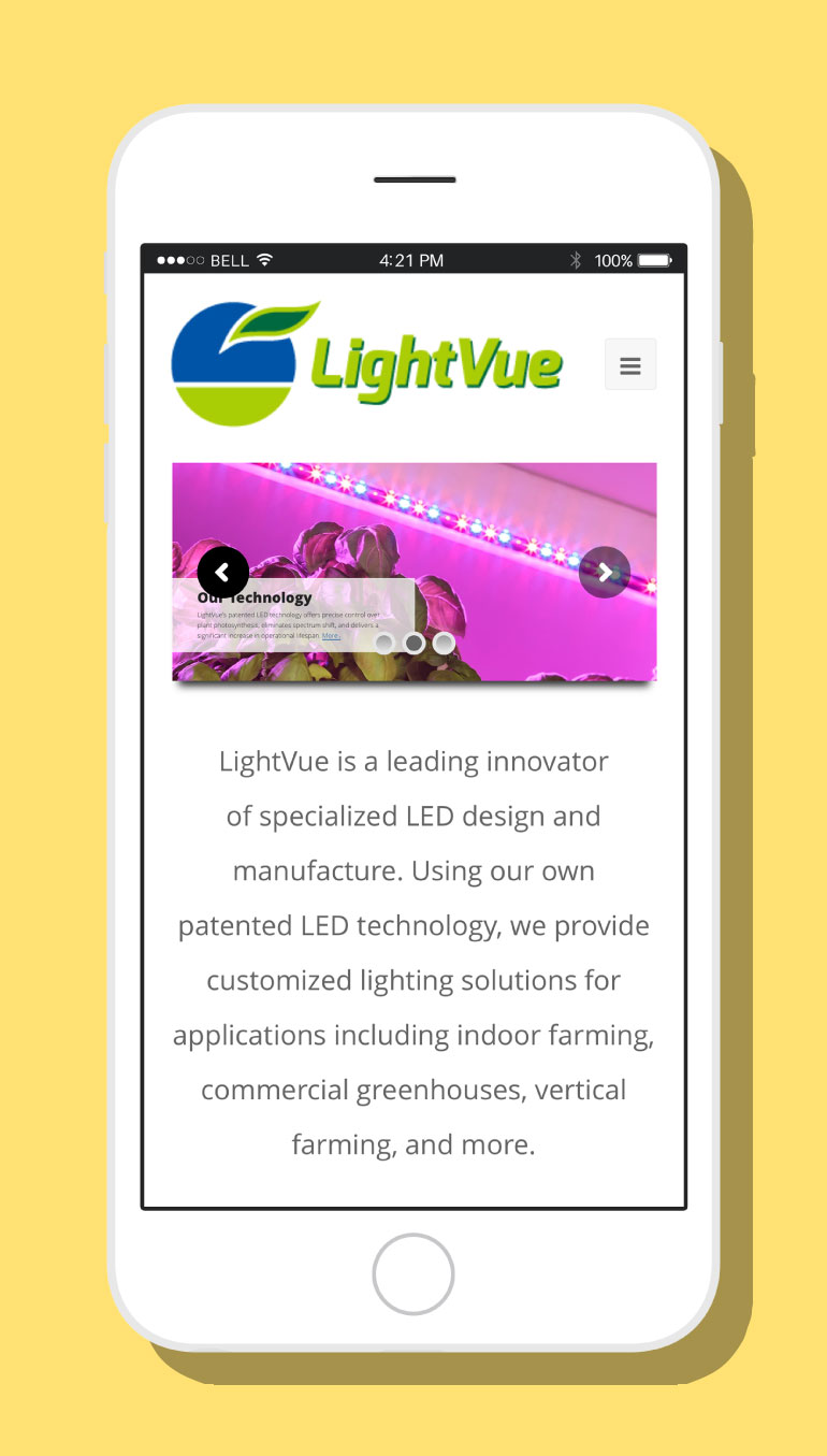 LightVue Website #2